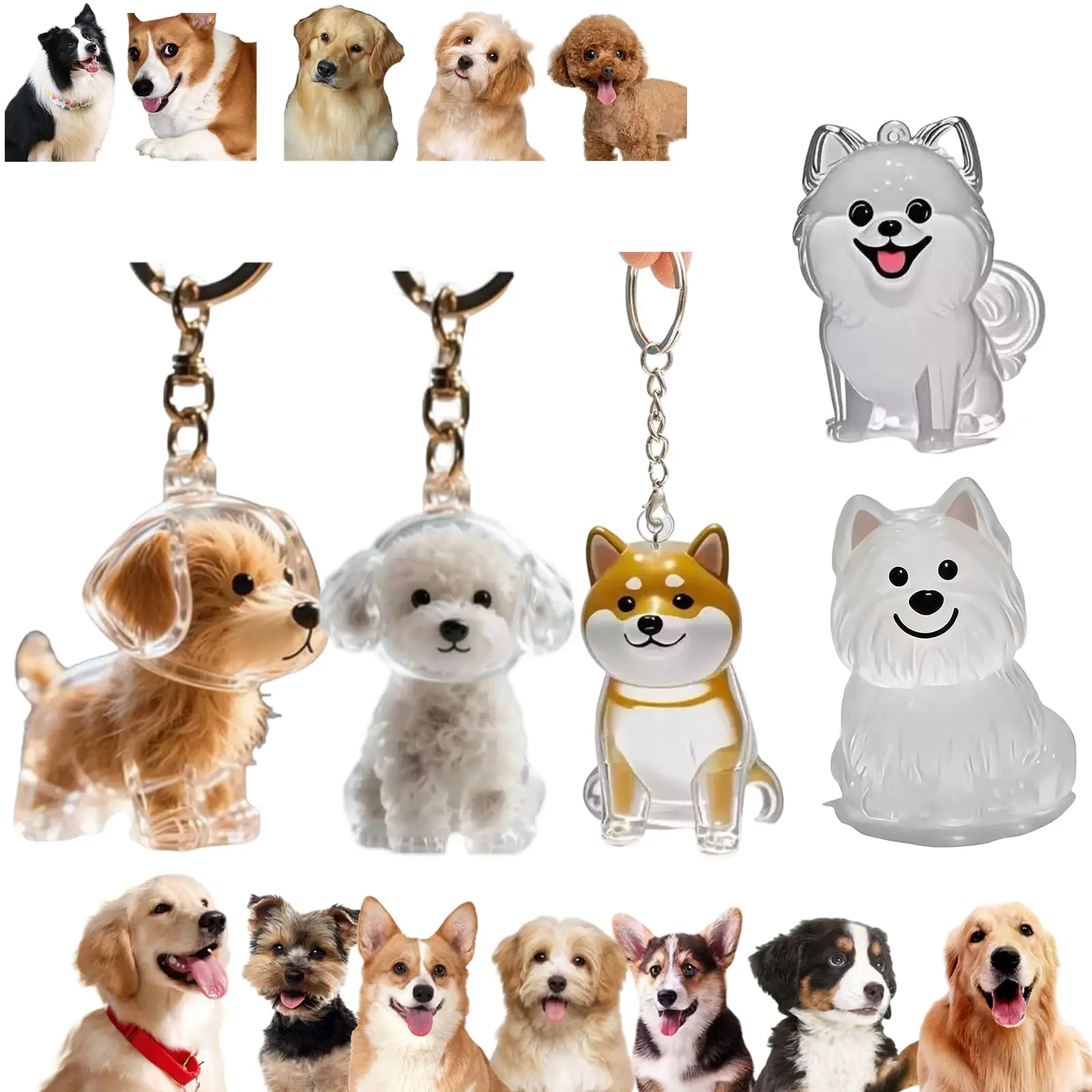 Pet Supplies Outlet - قلادة تذكارية شفافة للحيوانات الأليفة، سلسلة