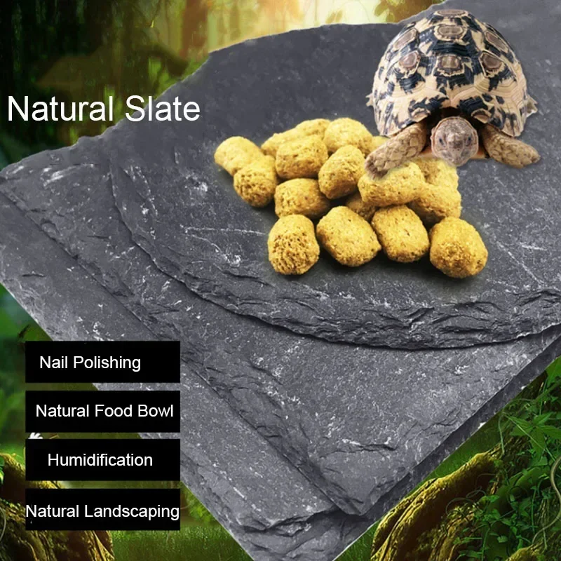 Pet Supplies Fish - تغذية الزواحف لحوض السمك الطبيعي للحيوانات