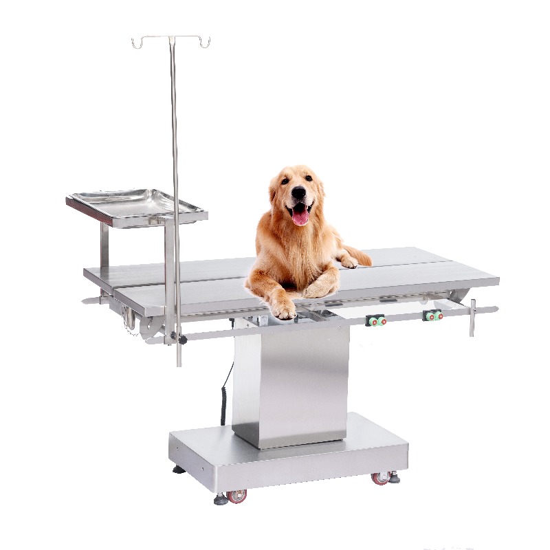 Pet Supplies Vet Clinic - طاولة فحص بيطرية 2026 للمستشفيات البيطرية