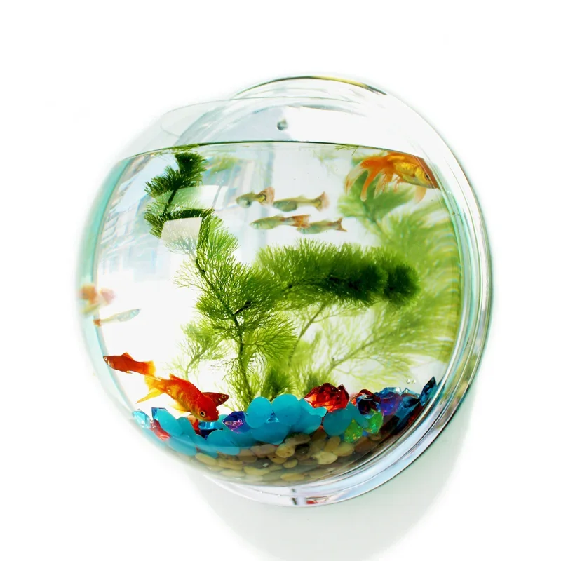 Pet Supplies Fish - Pinsjar وعاء السمك الأكريليك الجدار الشنق