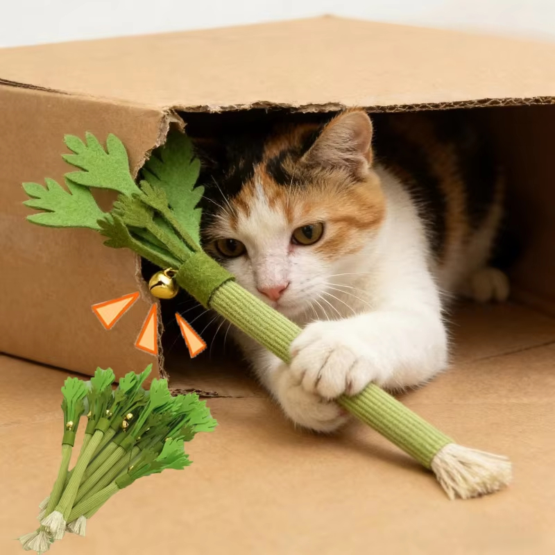 Catnip Toys - ألعاب قطط للمضغ، ألعاب تنظيف أسنان