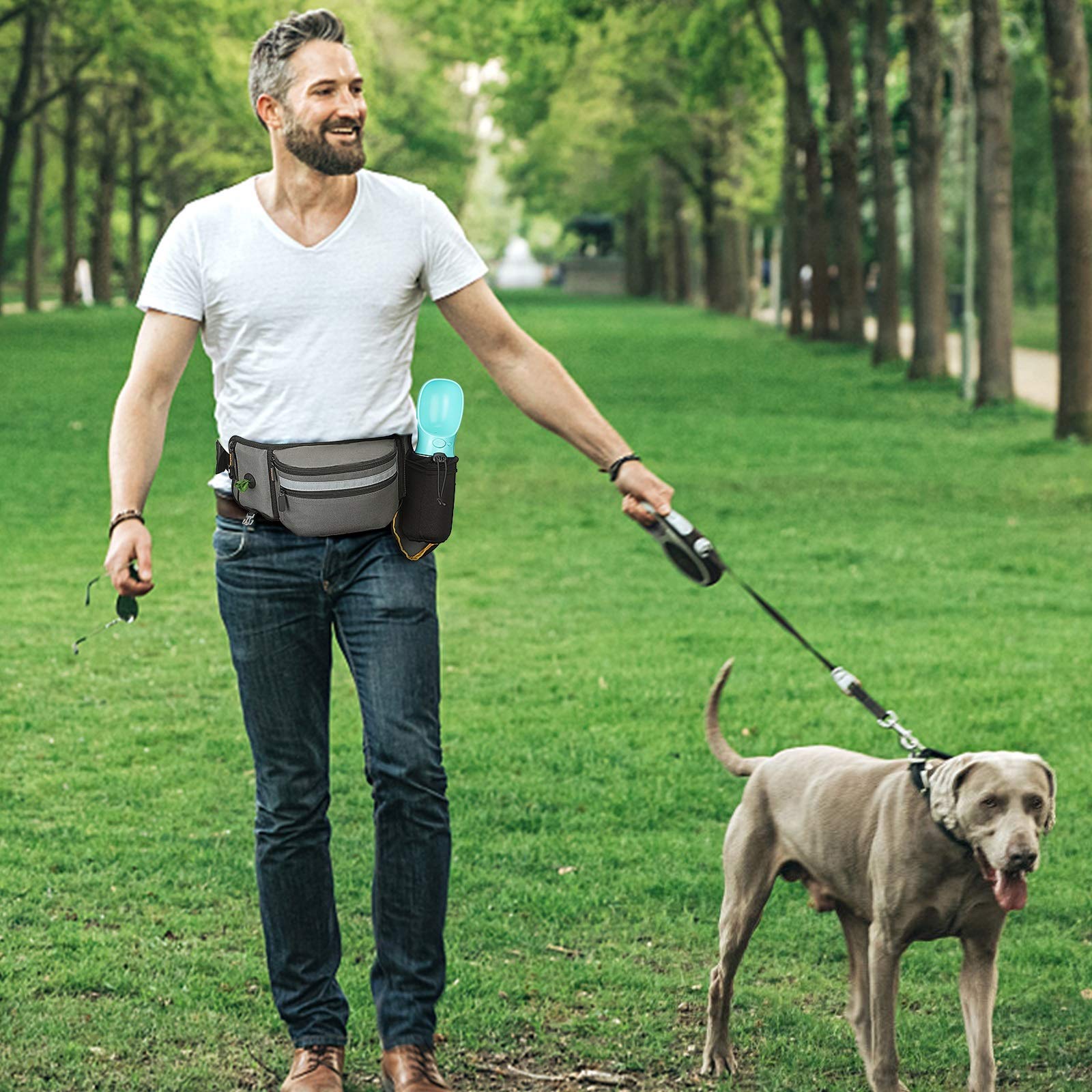 كيس علاج الكلاب للتدريب في اله - مراجعة Pet Supplies Rewards وسعره