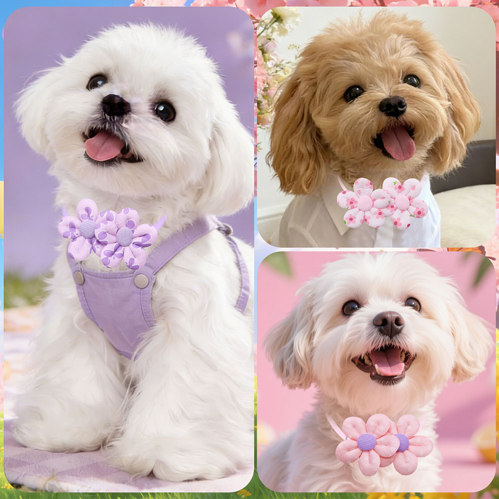 10 قطع من أربطة العنق على شكل  - مراجعة Pet Supplies Coupon وسعره