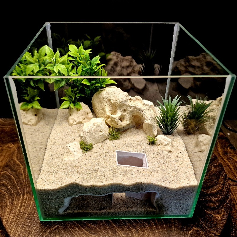زينة حوض السمك على شكل بيت سري - مراجعة Pet Supplies Fish وسعره