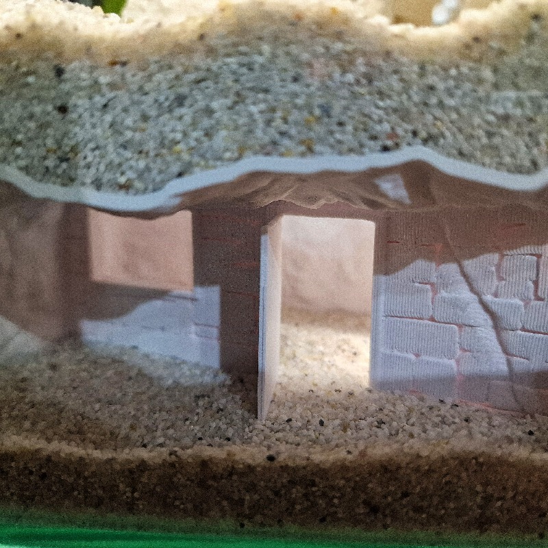 زينة حوض السمك على شكل بيت سري - مراجعة Pet Supplies Fish وسعره