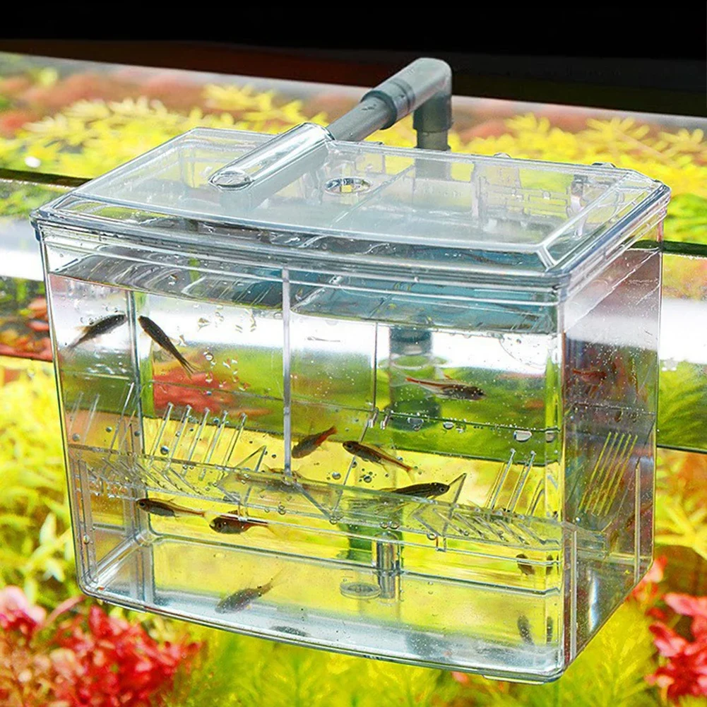 حوض السمك صندوق تربية الأسماك  - مراجعة Pet Supplies Fish وسعره
