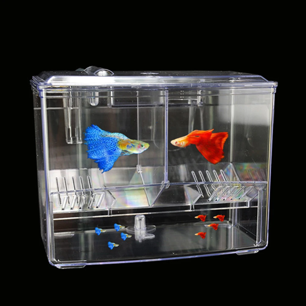 حوض السمك صندوق تربية الأسماك  - مراجعة Pet Supplies Fish وسعره