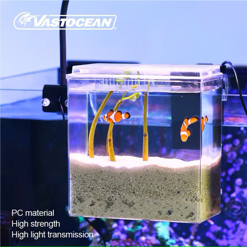 VASTOCEAN خزان الأسماك صندوق ا - مراجعة Pet Supplies Fish وسعره
