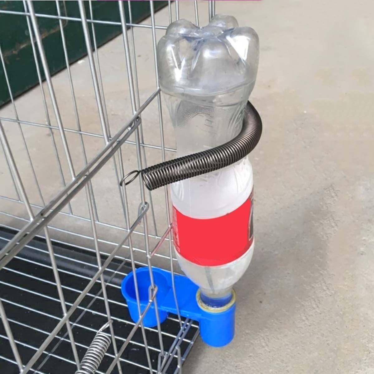 5 قطع أكواب ماء بلاستيكية للطي - مراجعة Pet Supplies Zoo وسعره