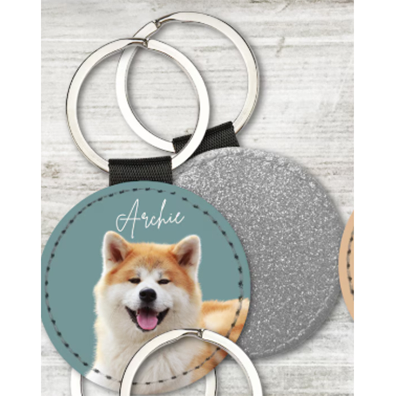 مخصص الحيوانات الأليفة صور الم - مراجعة Pet Supplies Outlet وسعره