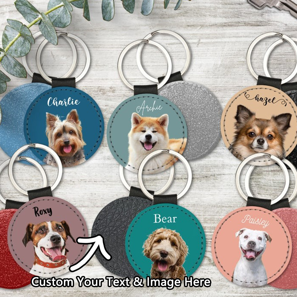 مخصص الحيوانات الأليفة صور الم - مراجعة Pet Supplies Outlet وسعره