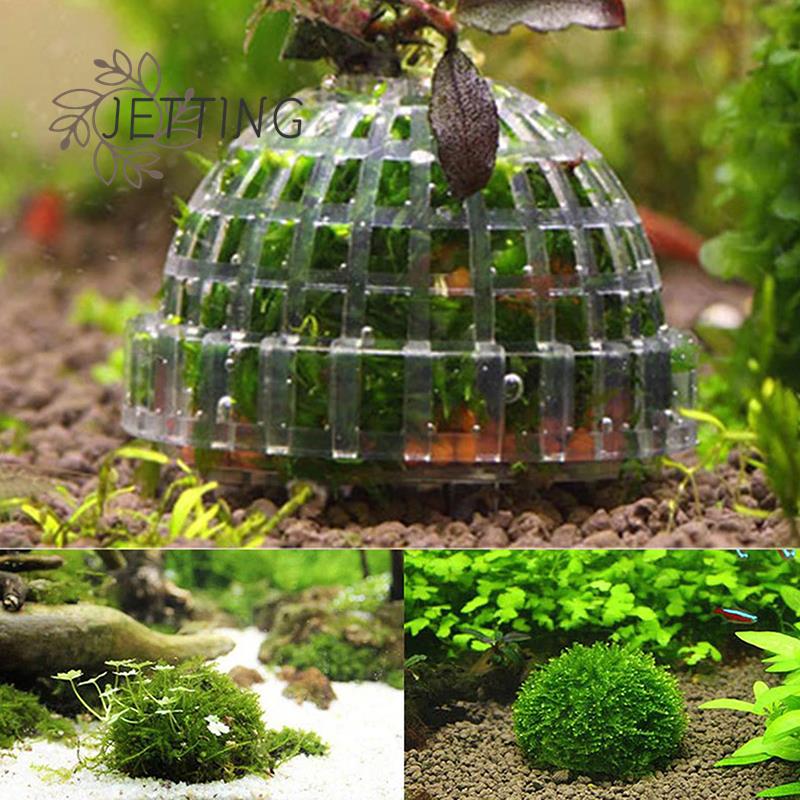 1 قطعة حوض السمك البلاستيكي ال - مراجعة Pet Supplies Fish وسعره