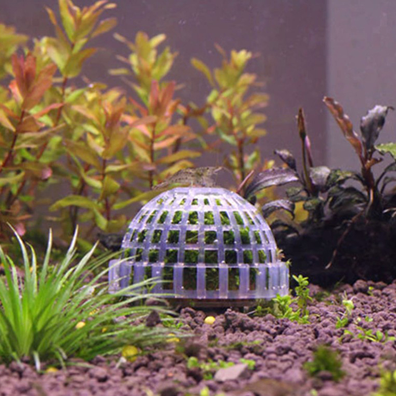 1 قطعة حوض السمك البلاستيكي ال - مراجعة Pet Supplies Fish وسعره