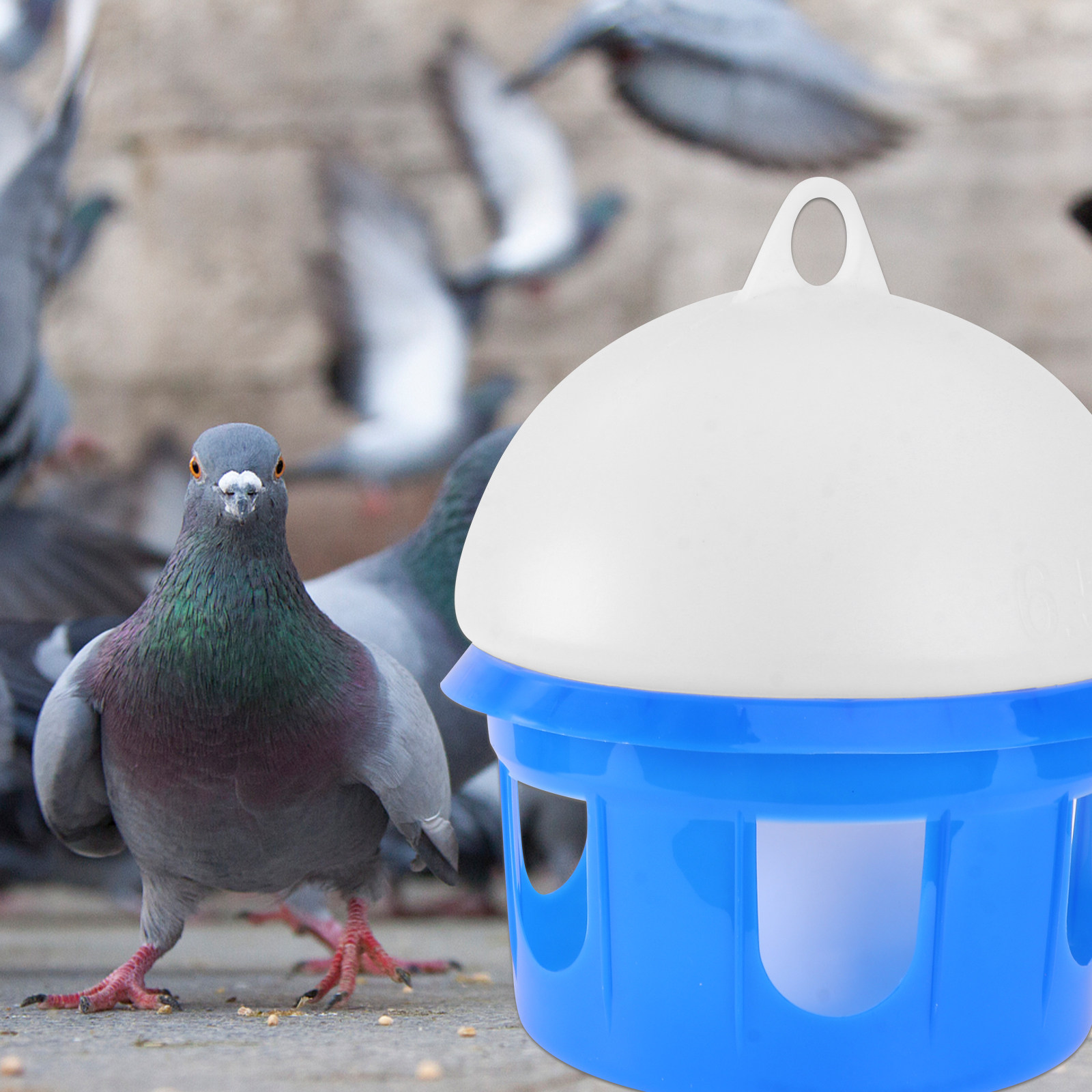 مغذي مياه للطيور سعة 6.5 لتر ب - مراجعة Pet Supplies Zoo وسعره