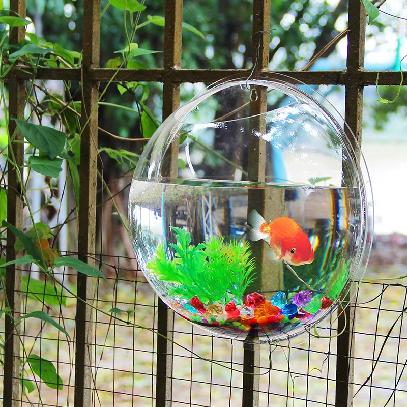 Pinsjar وعاء السمك الأكريليك ا - مراجعة Pet Supplies Fish وسعره