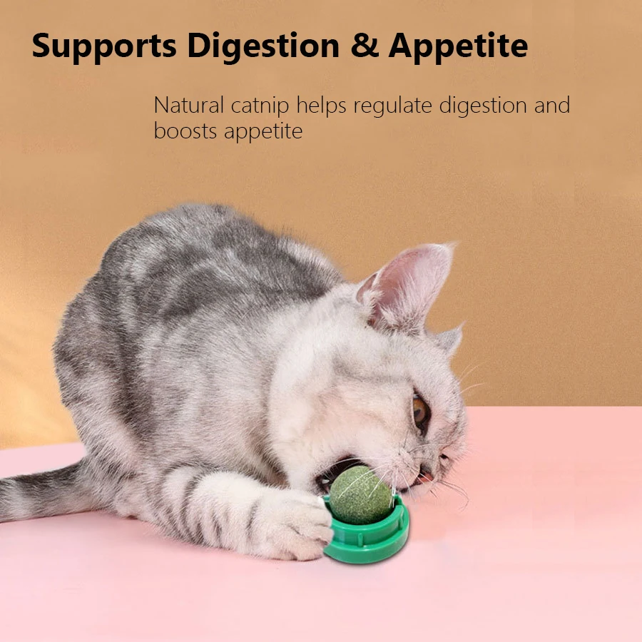 كرة النعناع البري الدوارة للقط - مراجعة Catnip Toys وسعره
