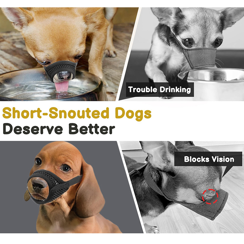 كمامة شبكية للكلاب ذات الأنف ا - مراجعة Pet Supplies Coupon وسعره