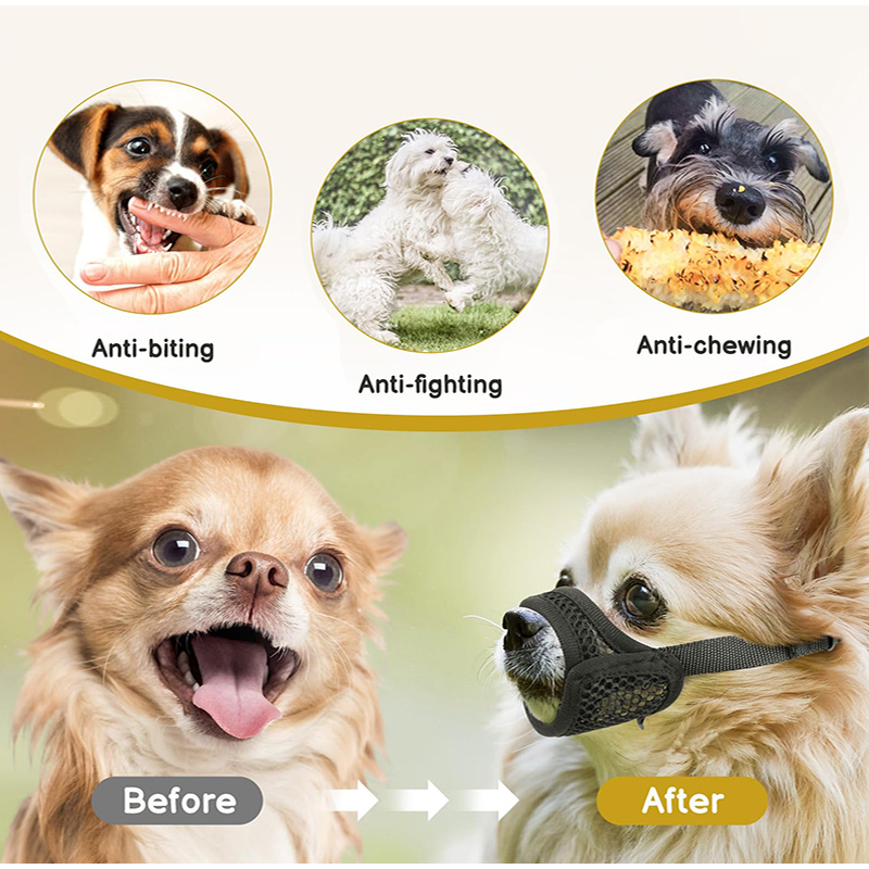 كمامة شبكية للكلاب ذات الأنف ا - مراجعة Pet Supplies Coupon وسعره