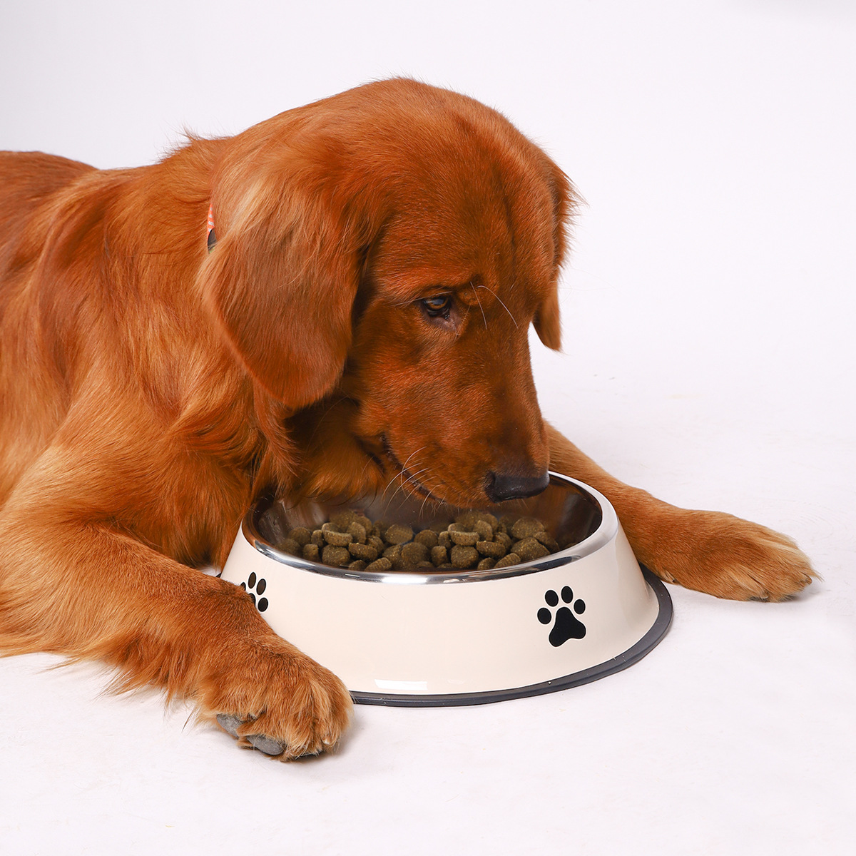 وعاء طعام للحيوانات الأليفة بس - مراجعة Pet Supplies Coupon وسعره