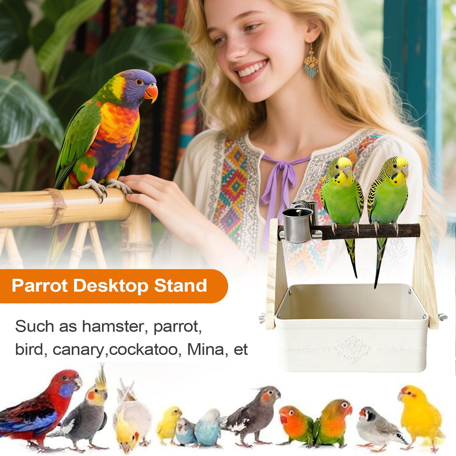 حامل طاولة للطيور مع دلو، مناس - مراجعة Pet Supplies Zoo وسعره
