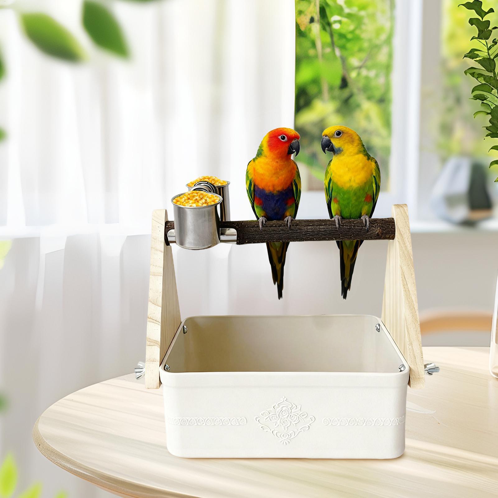 حامل طاولة للطيور مع دلو، مناس - مراجعة Pet Supplies Zoo وسعره