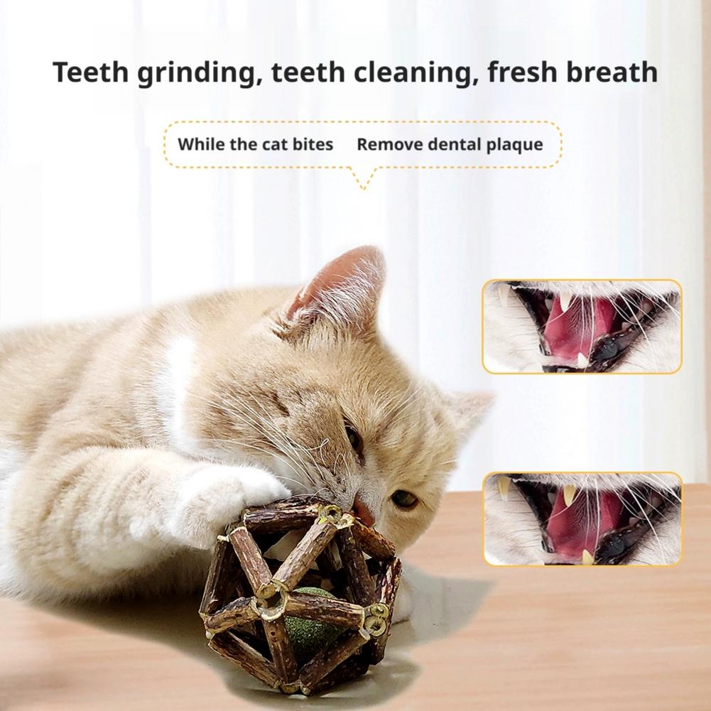 النعناع البري الكرة القط لعبة  - مراجعة Catnip Toys وسعره