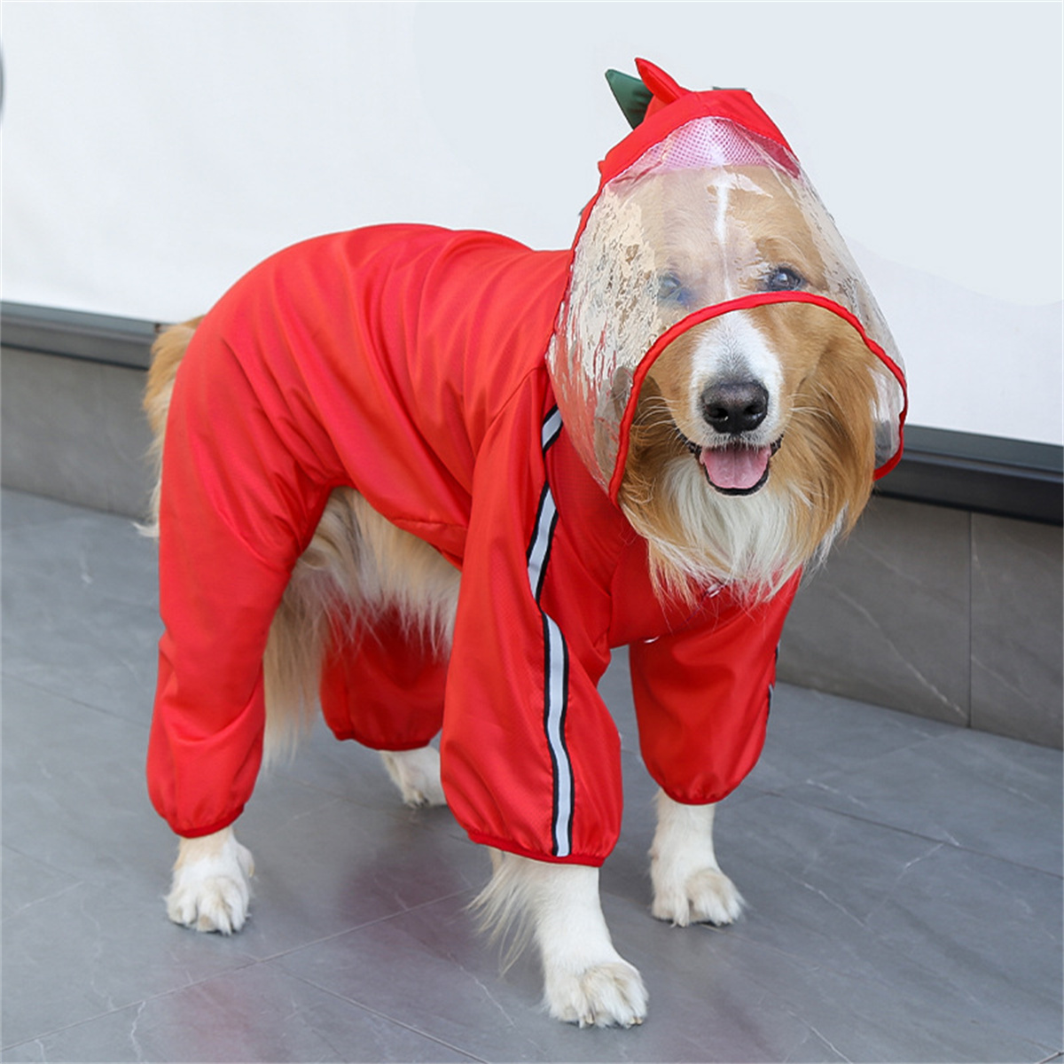 معطف واق من المطر للكلاب مقاوم - مراجعة Pet Supplies Coupon وسعره