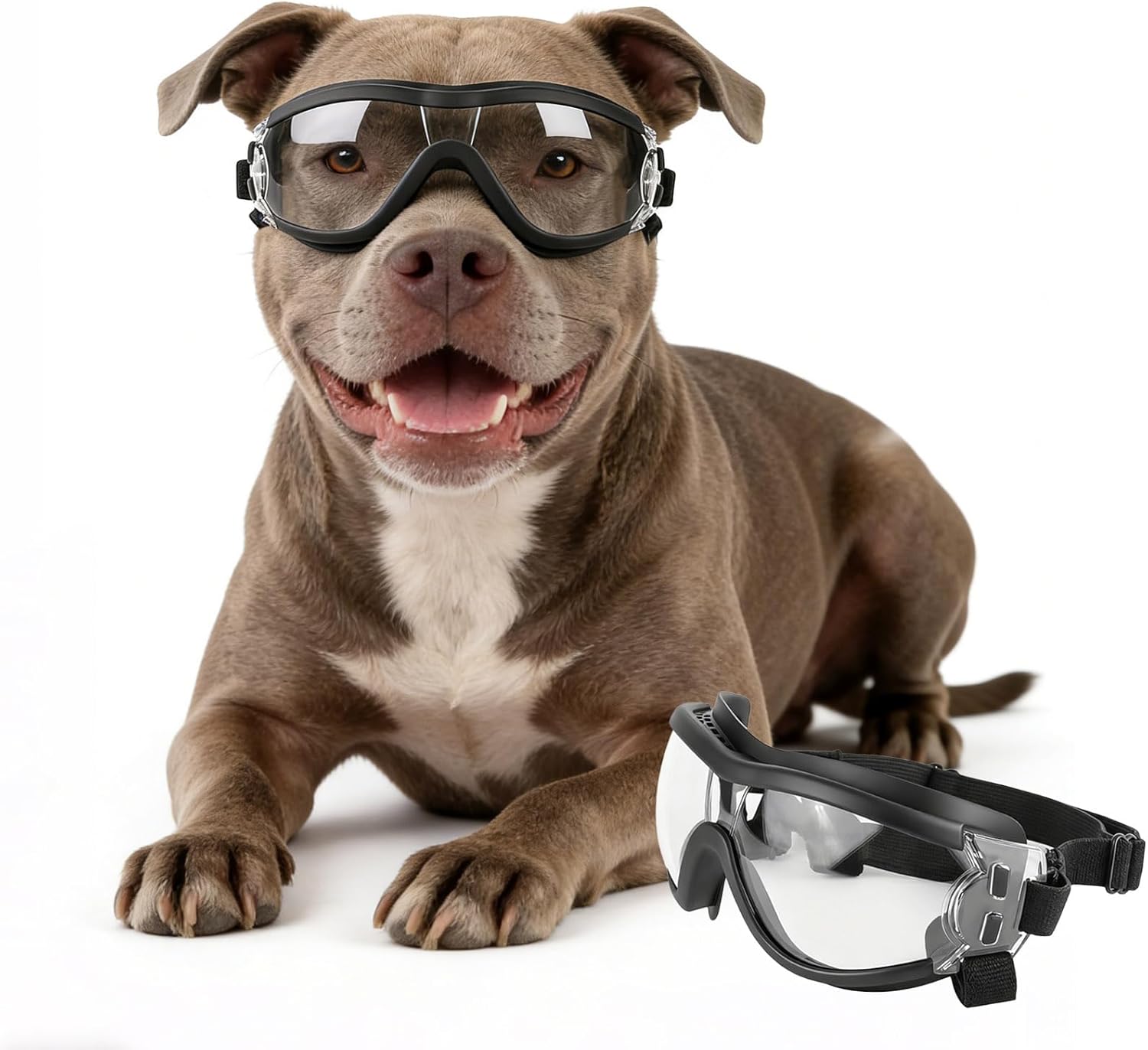 نظارات حماية قابلة للتعديل للك - مراجعة Pet Supplies Coupon وسعره