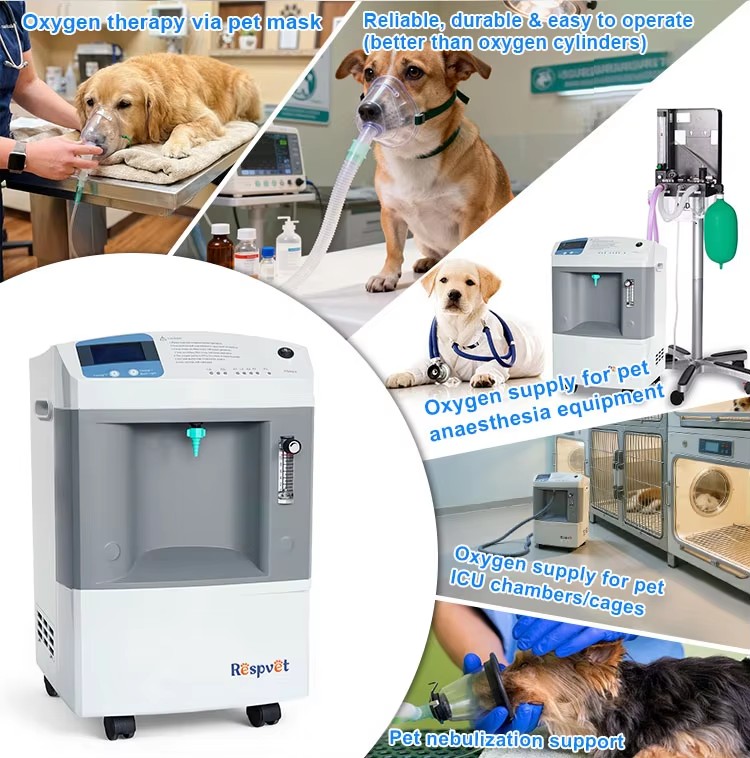جهاز إمداد الأكسجين البيطري ال - مراجعة Pet Supplies Vet Clinic وسعره