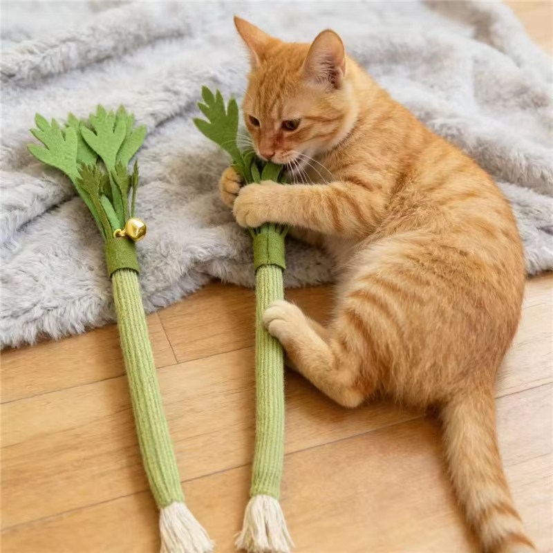 ألعاب قطط للمضغ، ألعاب تنظيف أ - مراجعة Catnip Toys وسعره