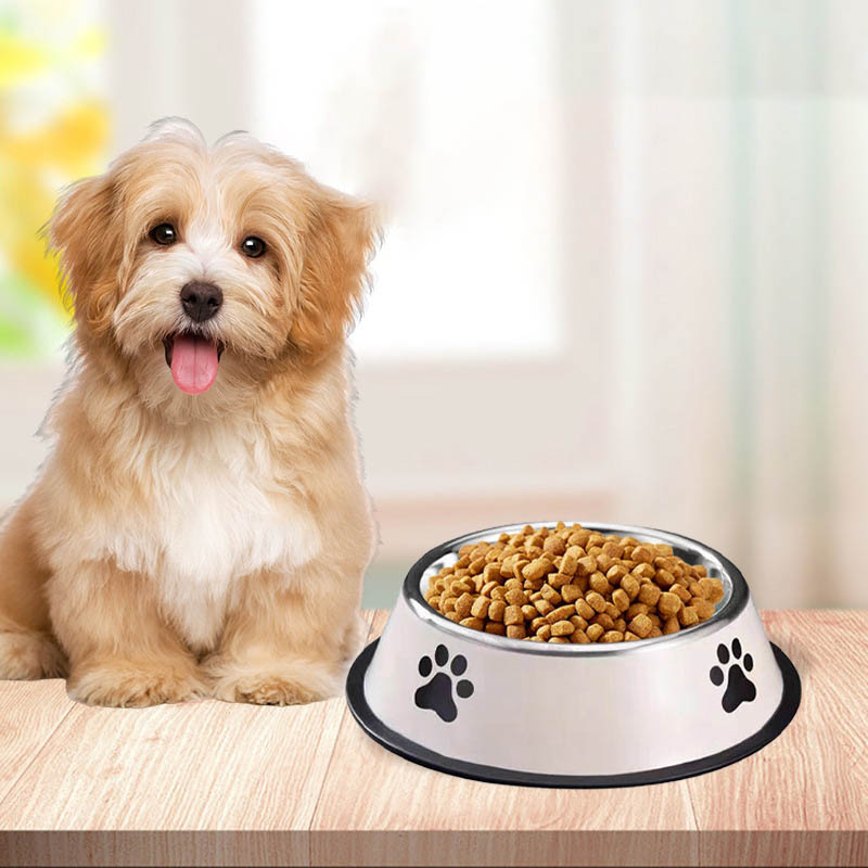 وعاء طعام للحيوانات الأليفة من - مراجعة Pet Supplies Coupon وسعره