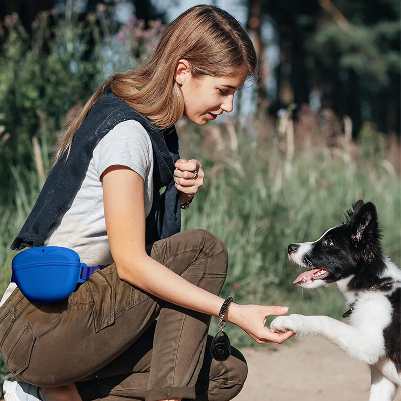 حقيبة علاج الكلب من السيليكون  - مراجعة Pet Supplies Rewards وسعره