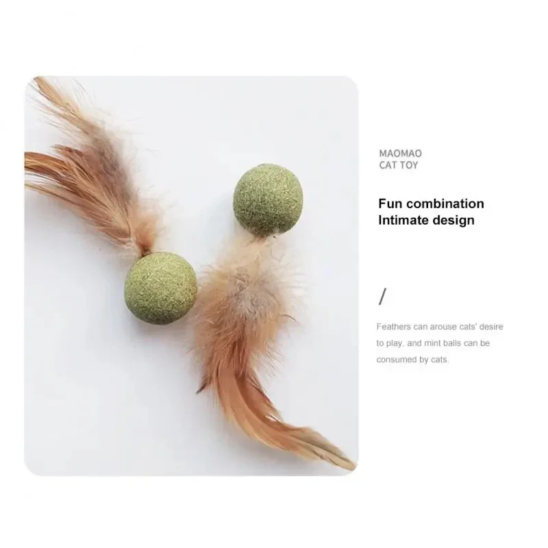 ألعاب النعناع للقطط، كرات النع - مراجعة Catnip Toys وسعره