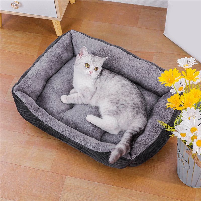 سرير كلاب رمادي AEA9، فراش مرب - مراجعة Pet X Supplies & Tack Grooming وسعره