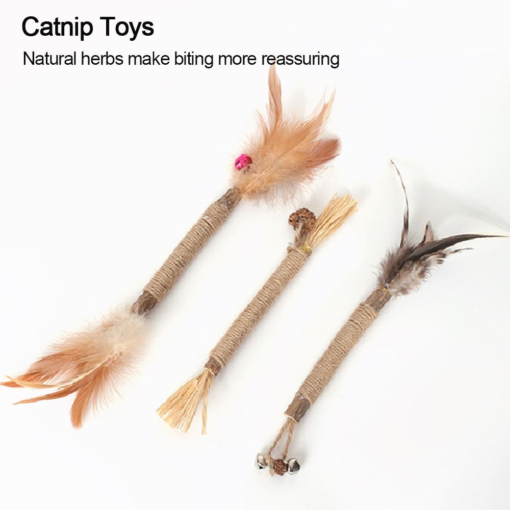 سلامة السيزال معجون الأسنان فر - مراجعة Catnip Toys وسعره