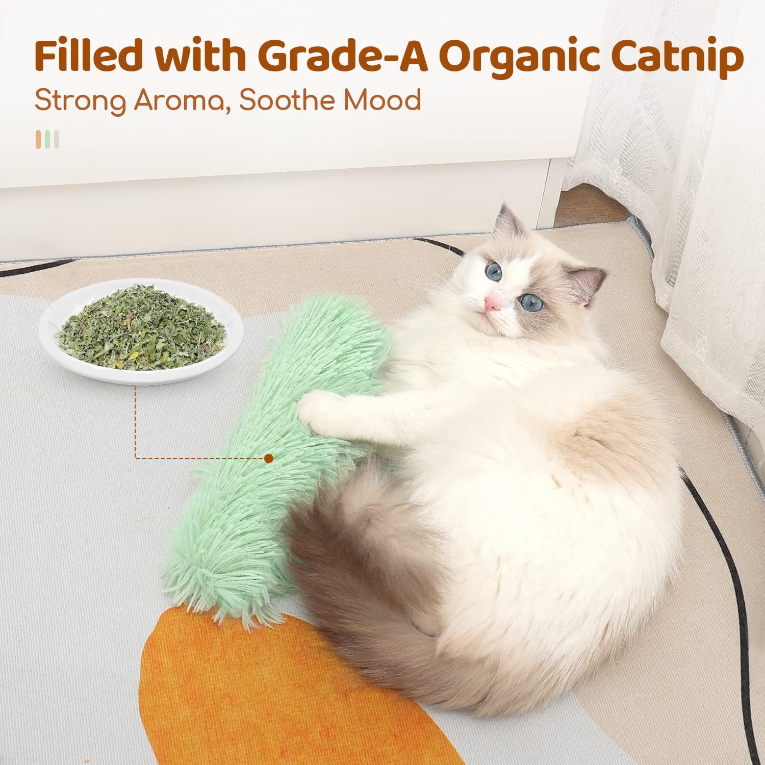 وسائد ألعاب القطط، 3 قطع، ناعم - مراجعة Catnip Toys وسعره